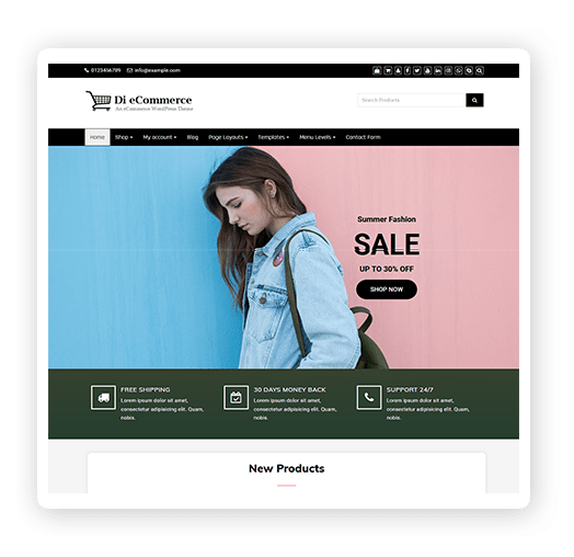 eCommerce WordPress theme
